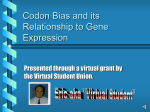 Codon Bias and its Relationship to Gene Expression