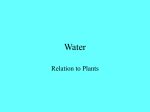 Water PPT