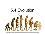 5.4 Evolution