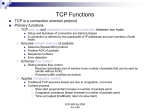 Factors that influence TCP performance