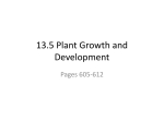 13.5 Plant Growth and Development - Hutchison