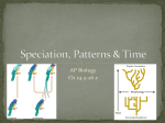 Speciation Patterns Time