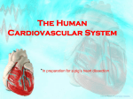 Cardiovascular-System