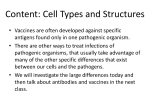 Cells/Organelles Case - Project