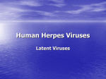 Human Herpes Viruses