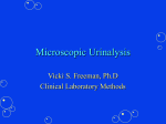 Urinalysis for Physician Assistants