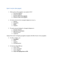 Quiz 1-Larynx (two pages)