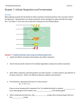 CH 7 Reading Guide 2014