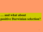 Positive Darwinian Selection