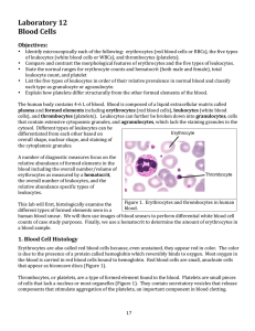 Laboratory 12 Blood Cells - Tacoma Community College