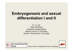 Embryogenesis and sexual differentiation I and II - ivf