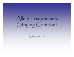 Allele Frequencies: Staying Constant