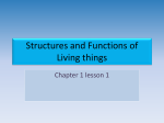 Structures and Functions of Living things