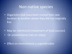 Non-native species