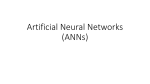 Artificial Neural Networks (ANNs)