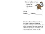 Digestive Detectives booklet