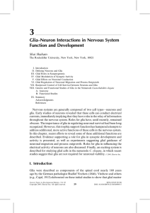 Glia–Neuron Interactions in Nervous System Function