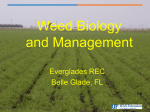 Weed Biology and Management