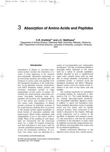 3 Absorption of Amino Acids and Peptides