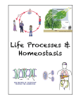 Life Processes Cover