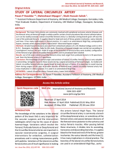 study of lateral circumflex artery