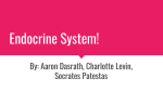 Endocrine System!