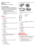 CELLS VASCULAR / NONVASCULAR