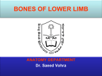 2-Bones of the Lower limb2014-12-01 03:001.9 MB