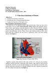 1- Functional anatomy and mechanical properties of heart