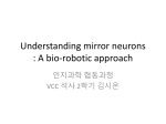 Understanding mirror neurons : A bio