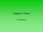 Chapter 4 Notes