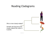 Reading Cladograms