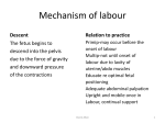 The Mechanism of Labour