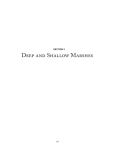Deep and Shallow Marshes - Minnesota Board of Water and Soil