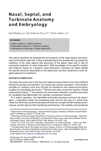 Nasal, Septal, and Turbinate Anatomy and Embryology