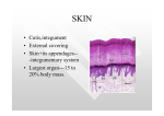 • Cutis,integument • External covering • Skin+its appendages