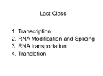 Gene Regulation