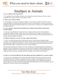 Smallpox in Animals