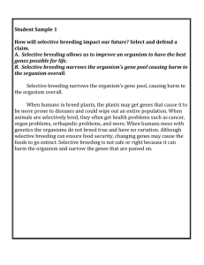 Student Sample 1 How will selective breeding impact our future?