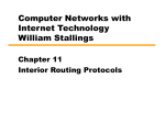 Chapter 11 Interior Routing Protocols