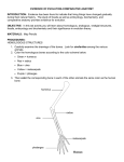 evidence of evolution-comparative anatomy