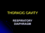 THORACIC CAVITY