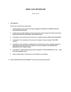AMINO ACID METABOLISM