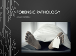 Forensic Pathology PPT