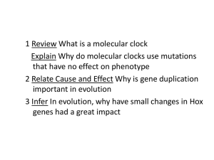 Ch 17 Evolution of Populations