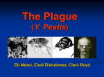 The Plague