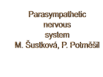 Parasympathetic nervous system