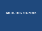 Intro to Genetics PPT
