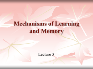 Mechanisms of Learning and Memory