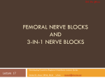 Femoral Nerve Blocks and 3-in